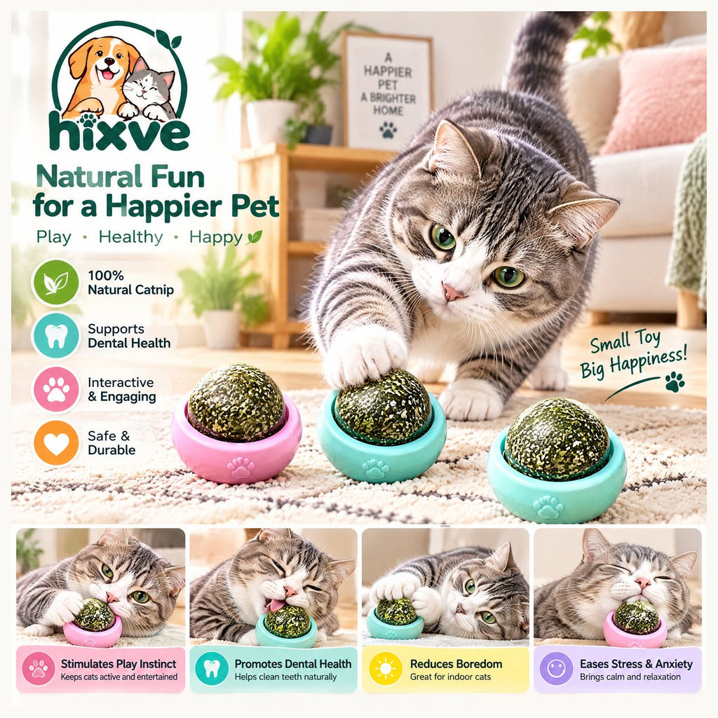 Textured Herb-Look Cat Play Balls with Holders image 1