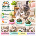 Textured Herb-Look Cat Play Balls with Holders image 1